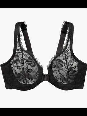 Sheer Lace Underwire Plunge Bra - Black
